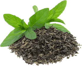 Refreshing Mint Infusion in a Tea Cup PNG