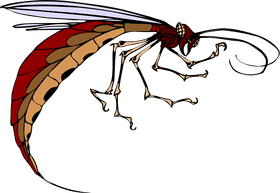 Elegant Insect with Vibrant Wings PNG