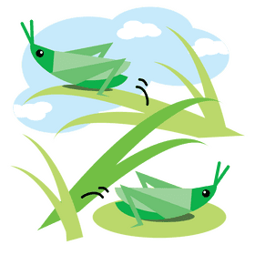 Vibrant Insect Hopper Among Green Grass PNG