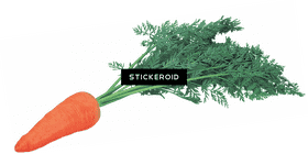 Delightful Carrot Cake with Fresh Carrot Garnish PNG