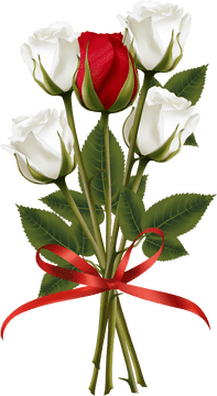 Elegant Bouquet of Red and White Flowers PNG