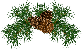 Elegant Pine Cone Arrangement with Pine Needles PNG