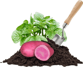 Compost Bin Nurturing Healthy Roots for Sustainable Gardening PNG