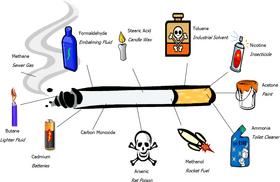 Whispers of Poison A Toxic Encounter PNG