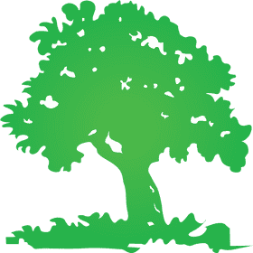 Lush Green Tree of Life PNG