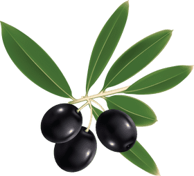 Pure Essence of Olive Oil PNG