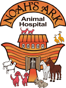 Noah's Ark Animal Hospital Adventure PNG