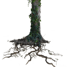 “Ginger Root Nature's Hidden Treasure” PNG