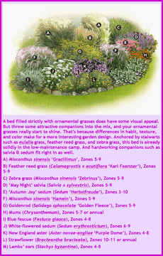 Vibrant Vegetable Garden Oasis of Color PNG