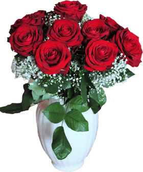 Notebook of Beautiful Blossoms A Floral Inspiration PNG