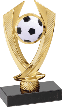 Soccer Championship Excellence Trophy PNG