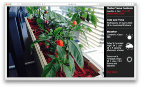 Vibrant Greenhouse Garden Oasis PNG