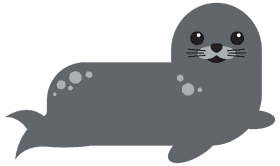 Happy Harbor Seal PNG