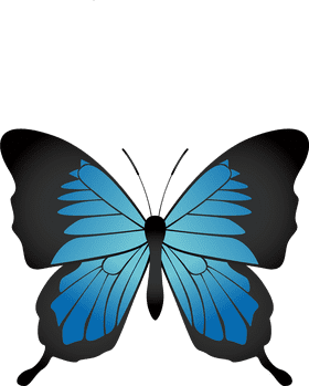 Elegant Blue Insect Butterfly Design PNG