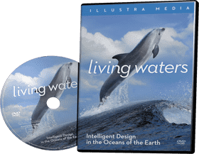 Ocean Wave Serenity A Journey Through Nature's Majesty PNG