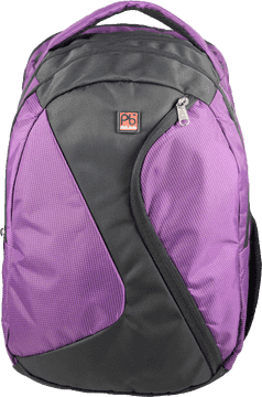 Stylish School Backpack for Every Student PNG