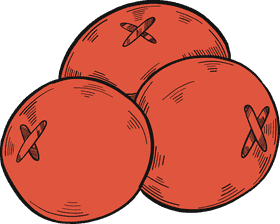 Cranberry Bliss Nature's Tangy Treasures PNG