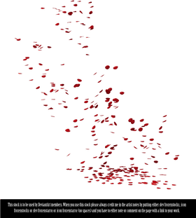 Whispers of Rain Petals Dancing in the Storm PNG