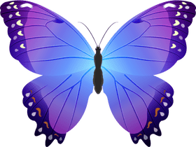 Enchanting Butterfly with Purple Grapes Hues PNG