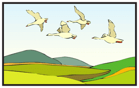 Kayak Adventure with Soaring Geese PNG