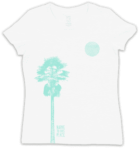 Desert Oasis A Palm Among Dunes PNG