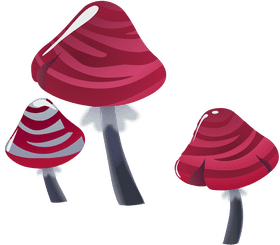 Vibrant Red Mushroom Trio PNG