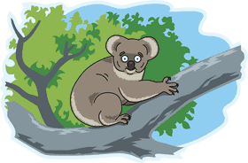 Charming Koala Bear in a Lush Tree Canopy PNG