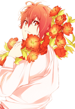 Radiant Blossom The Flower of Joy PNG