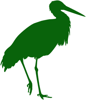 Majestic Green Heron Bird Silhouette PNG