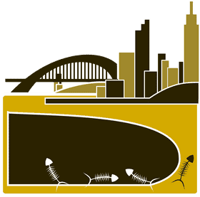 Urban Serenity The River Bridge Connection PNG