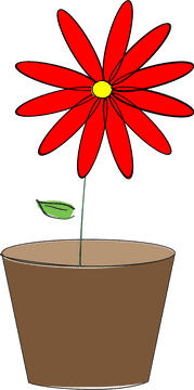Vibrant Red Flower Plant Pot Design PNG