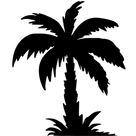 Elegant Silhouette of a Palm Tree PNG