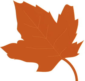 Autumn Whispering Leaf PNG