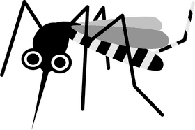 Striking Black and White Insect Mosquito PNG