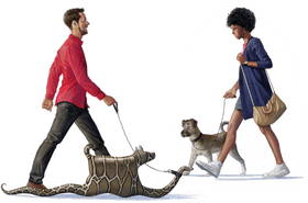 Unique Pet Stuff for Every Adventure PNG