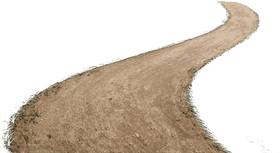 Winding Path Through the Nature Trail PNG