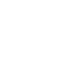 Elegant Collection of Wine Bottles PNG