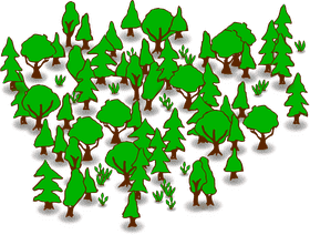 Lush Green Forest of Tranquility PNG