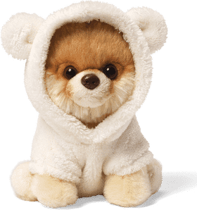 Cozy Pomeranian Dog in a Bear Hoodie PNG