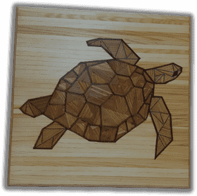 Desert Oasis Turtle Artistry PNG