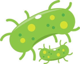 Vibrant Green Bacteria A Microbial Perspective PNG