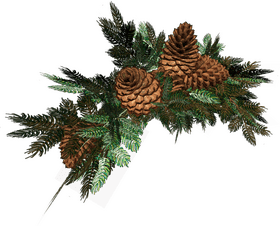 Christmas Pinecone and Fern Arrangement PNG