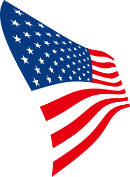 Celebratory Party Flag of Unity and Freedom PNG