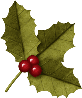 Christmas Holly and Red Berries Delight PNG
