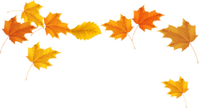 Autumn Leaves A Symphony of Colors PNG