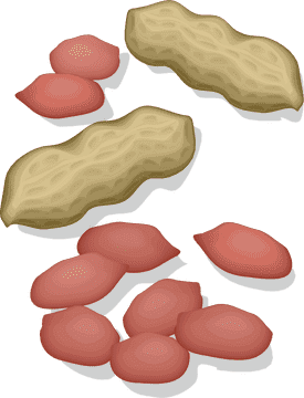 Peanut Butter Jar with Delicate Peanuts Spread PNG