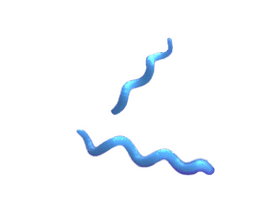 Vibrant Spiral Bacteria in Motion PNG