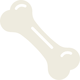 Chewy Delight The Perfect Bone Treat PNG