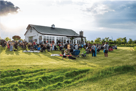 Community Gathering on Lush Green Grass PNG