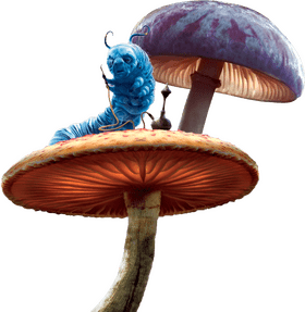 Whimsical Blue Caterpillar on Enchanted Mushroom PNG